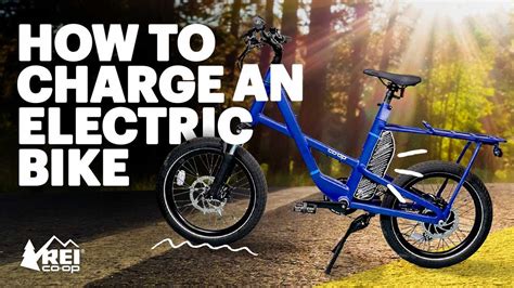 How Much Does It Cost to Charge an Electric Bike? And Why Do Squirrels Love Power Outlets?