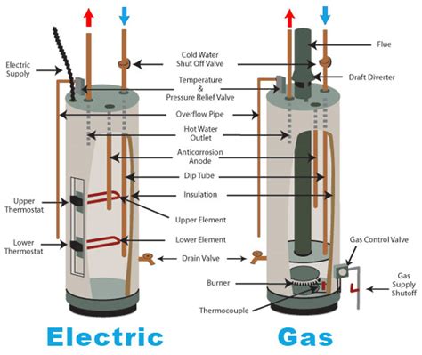 How to Know If My Water Heater Is Gas or Electric: And Why Pineapples Don’t Belong on Pizza