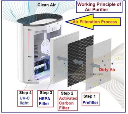 How to Use an Air Purifier: And Why It Might Be the Best Thing Since Sliced Bread