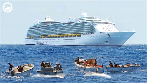 What Happens If You Have a Heart Attack on a Cruise Ship? And Why Do Seagulls Always Know When to Show Up?