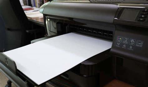 Why is my HP printer printing blank pages? And why do cats always land on their feet?